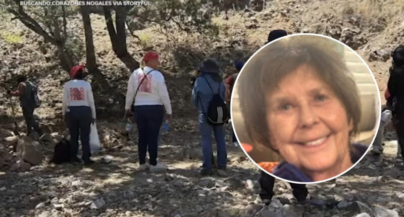 Nancy Guthrie updates: Mexican volunteer group conducts new search for Savannah Guthrie's mother following anonymous tip