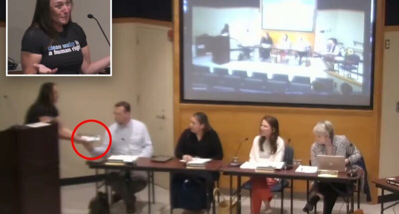 Nantucket activist Meghan Perry delivers laxative laced brownies to Nantucket School Committee