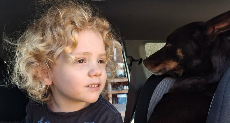 Never-before-seen family pic of little Gus Lamont is revealed