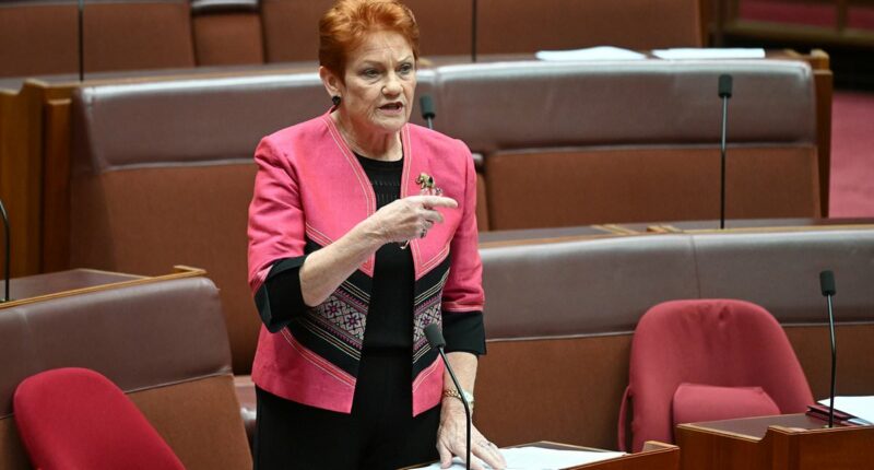 New poll crowns Pauline Hanson as preferred prime minister