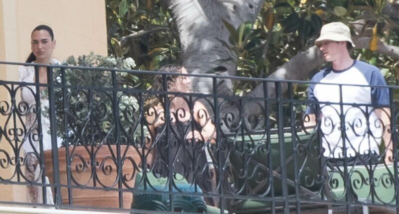 Newlyweds Dua Lipa and Callum Turner emerge on their hotel balcony