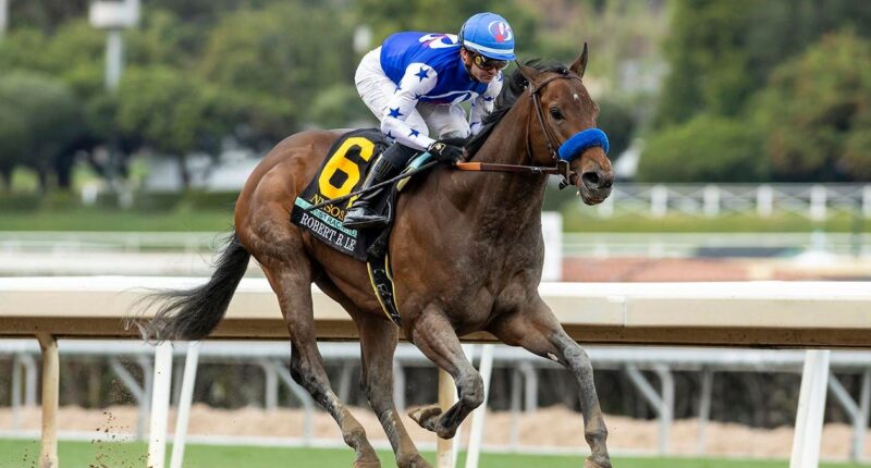 Nysos Running Towards Breeders Cup After Dominant Met Mile Win
