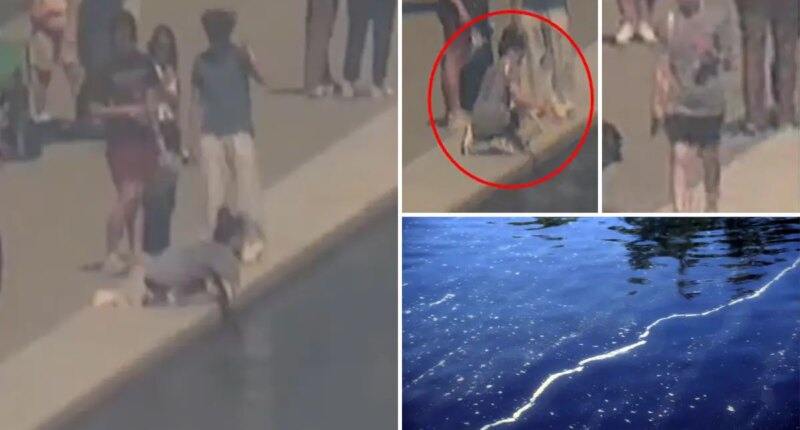 Officials ask for help identifying person in Reflecting Pool damage investigation