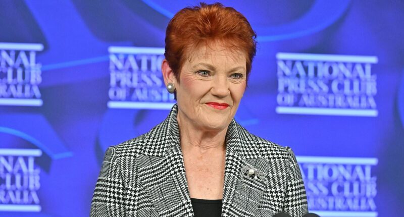 Pauline Hanson National Press Club address sabotaged by protest stunt