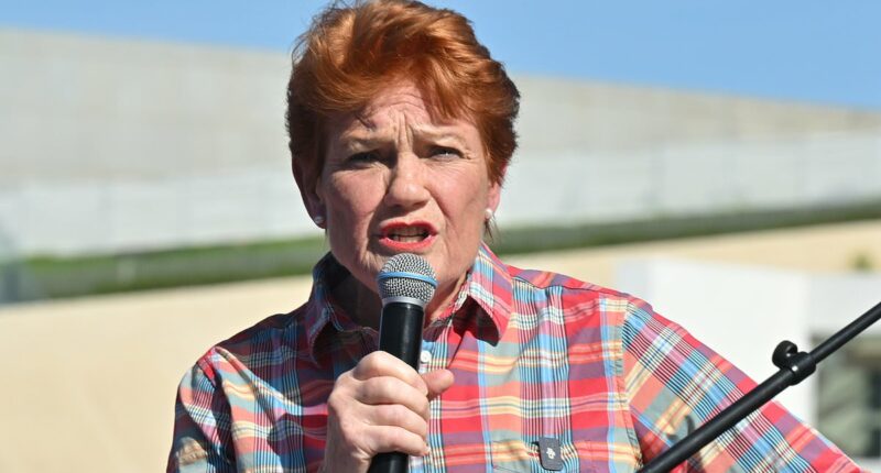 Pauline Hanson slams the defence force