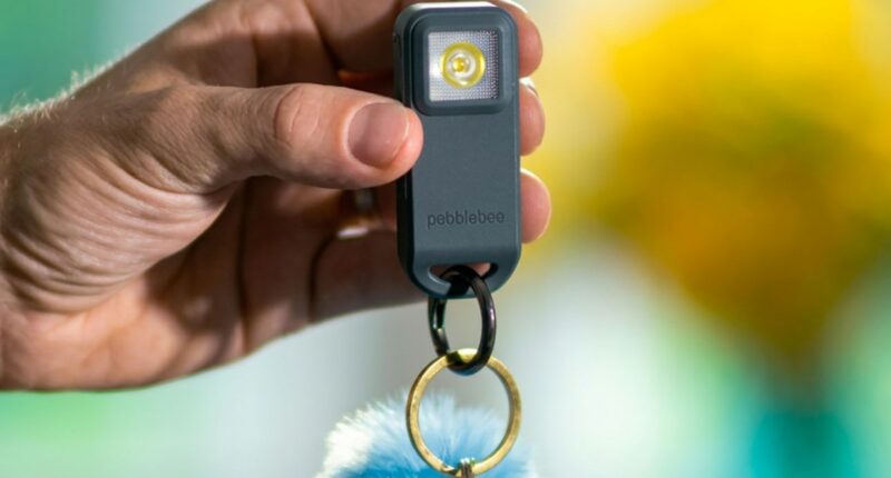 Pebblebee’s Halo can help track lost items and keep you safe, and it’s on sale for $50