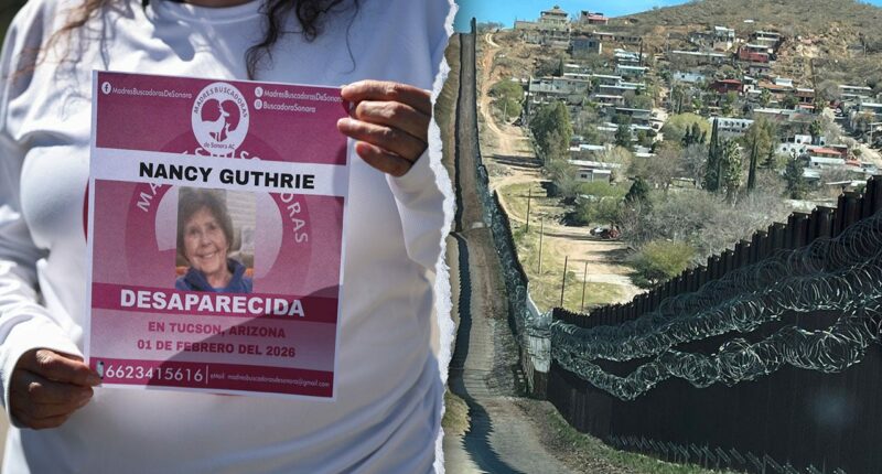 Pima County sheriff says Mexican authorities have not made contact over Nancy Guthrie search tip