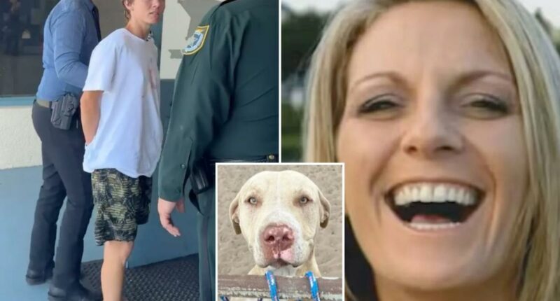 Pit bulls who mauled Florida woman to death attacked another neighbor weeks earlier: court docs