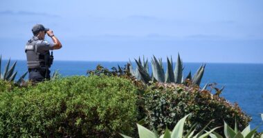 Police in California spot body of 5-year-old swept out to sea