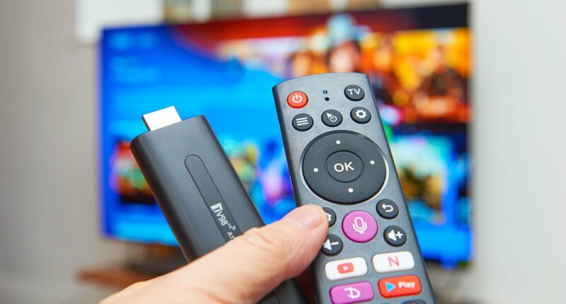 Postman who sold 'dodgy Fire Sticks' to illegally stream football is jailed for THREE YEARS after pocketing £200k - and trying to hide customers' details