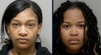 Pregnant woman, her sister stab chicken joint employee: Cops