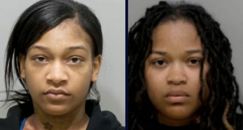 Pregnant woman, her sister stab chicken joint employee: Cops