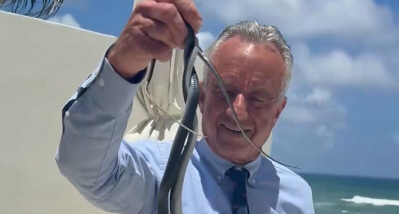 RFK Jr.'s sister makes wild claim that he released SNAKE into swimming pool filled with children at family gathering