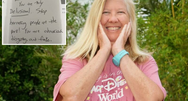 Rabid Disney adults harass, doxx widow over her Magic Kingdom videos