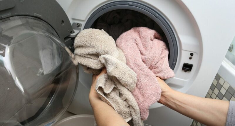 Remove mould from washing machine seals 'for good' with one common kitchen item
