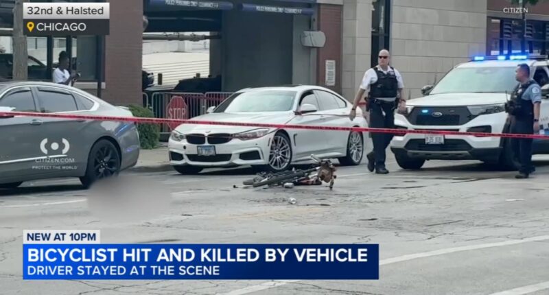 Riley O'Neil, CDOT Chicago employee known for bike safety work, killed in semi crash while cycling on Halsted Street in Bridgeport