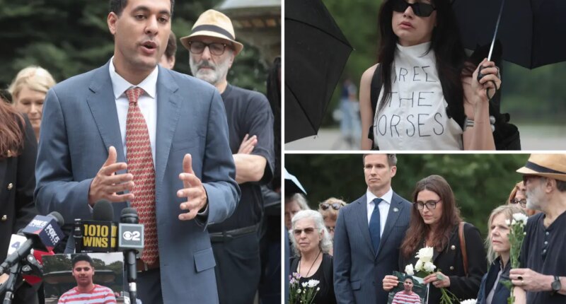 Romanch Mahajan's family demands NYC ban horse carriages