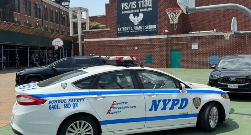 Rotting body found in NYC school chimney after putrid odor leads to call to exterminator