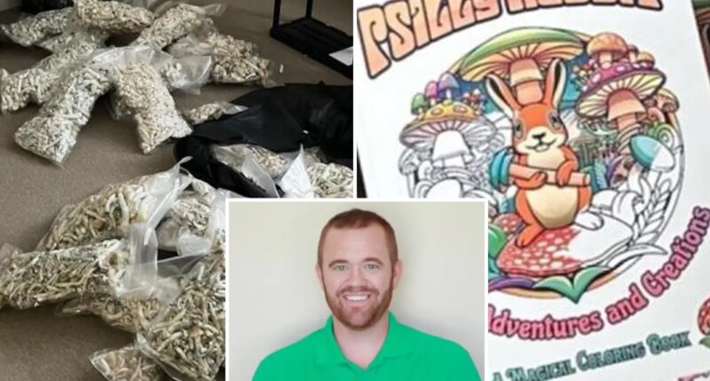 San Diego dad pleads guilty to giving ‘magic mushrooms’ to his kids