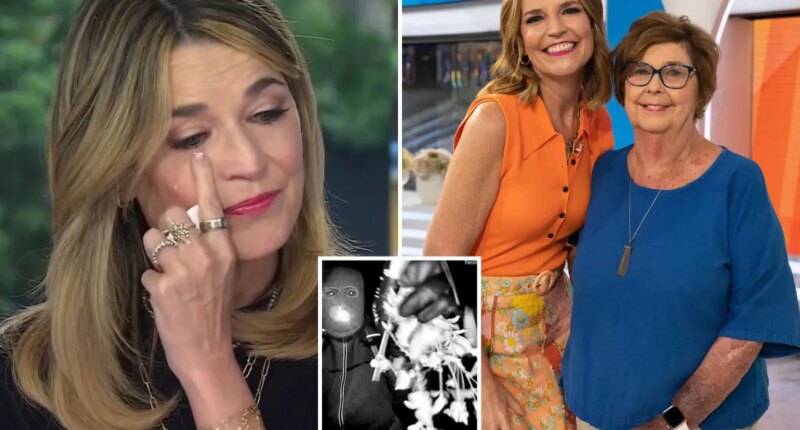 Savannah Guthrie plea over missing mom Nancy live on 'Today'