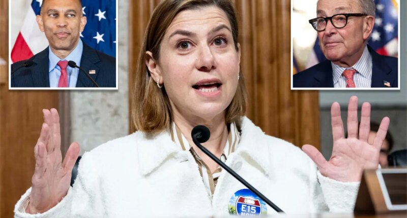 Senate Democrat suggests it may be time to replace Schumer and Jeffries: ‘Let others lead’