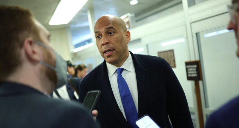 Senate Democrats push for more info on