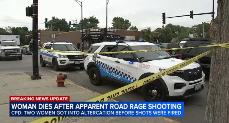 Shaday Ingram killed in Humboldt Park shooting near Chicago and Homan avenues in apparent road rage incident; suspect in custody