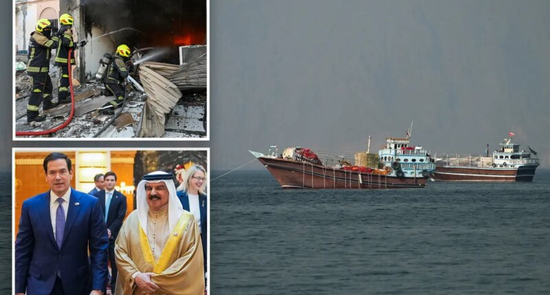 Ships slowly trickle through Strait of Hormuz as US allies slam Iranian counter attack