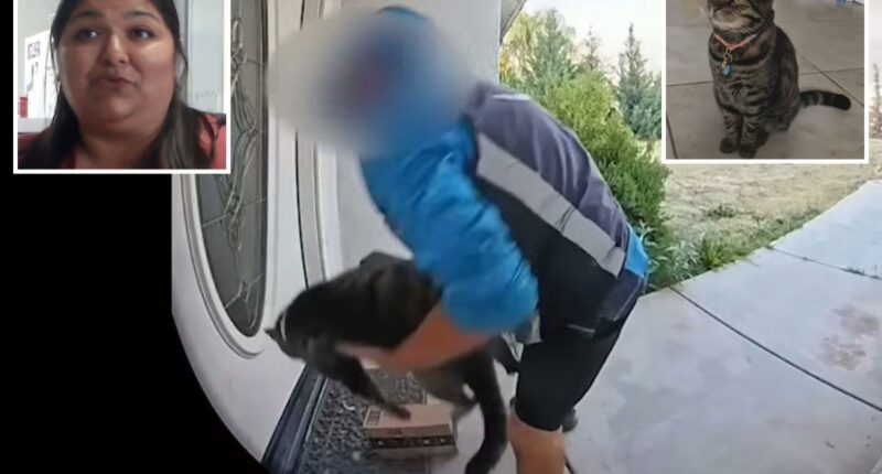 Shock twist after California Amazon delivery driver caught taking family cat off their doorstep