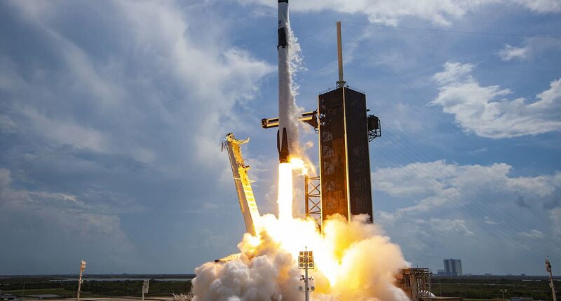 Should you buy shares in SpaceX? Read our expert investing guide