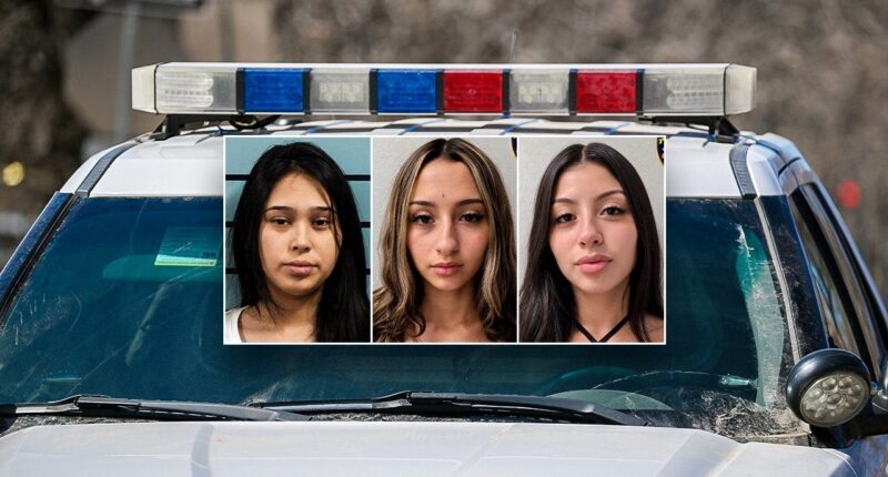 Sisters, friend charged in Texas mom's stabbing death