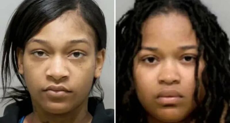 Sisters, including one 9 months pregnant, allegedly stabbed and hurled hot oil at Detroit restaurant worker