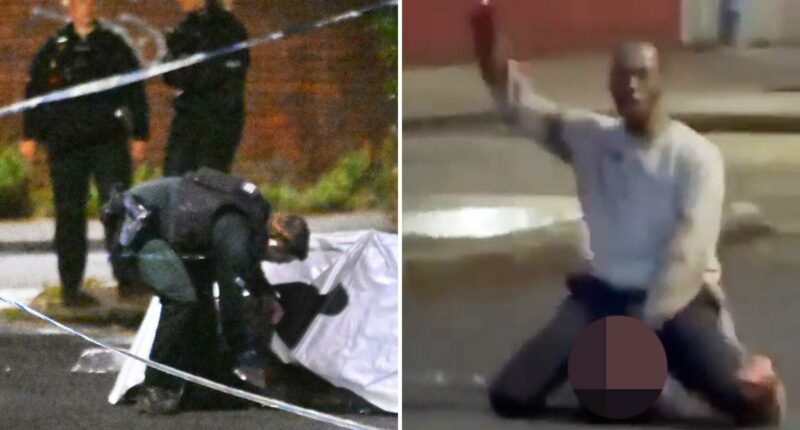 Somalian migrant arrested for allegedly trying to behead victim in middle of Northern Ireland street