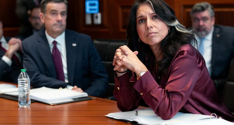 Spy world panic as Tulsi Gabbard prepares to unleash bombshell file dumps on secret CIA 'mind control' project and Dr. Fauci