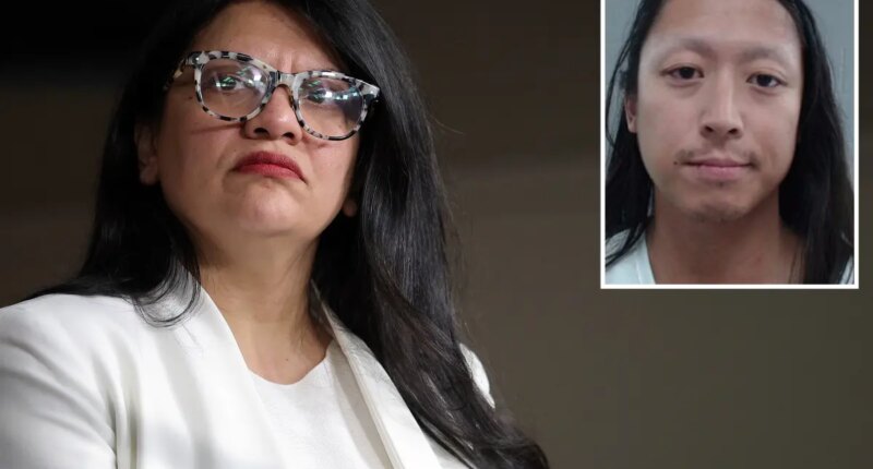 'Squad' Rep. Rashida Tlaib slammed for defending antifa members who shot Texas officer at immigration facility