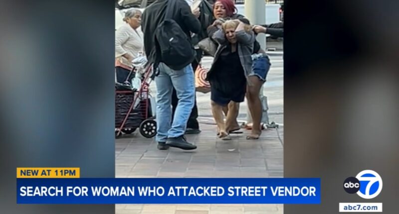 Street vendor suffers brutal attack while working in downtown Los Angeles, video shows