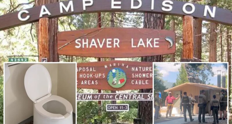 Sunglasses rescue goes horribly wrong as camper plunges into California vault toilet tank