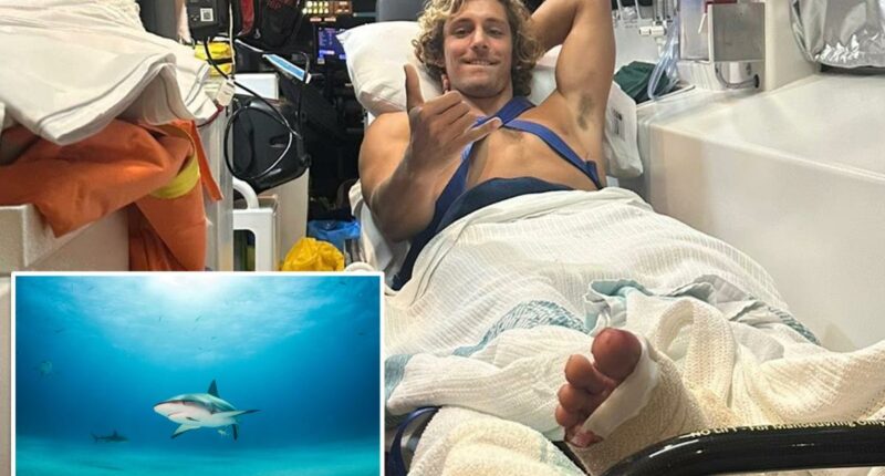 Surfer escaped jaws of Aussie shark with a simple trick