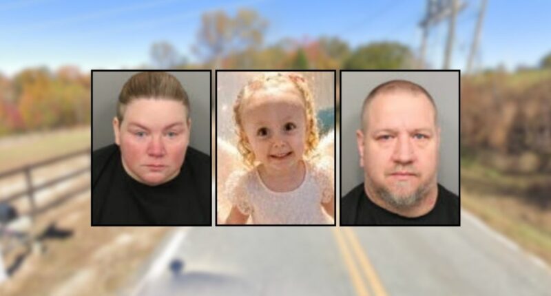 Suspects let girl, 4, wither into cardiac arrest: Police