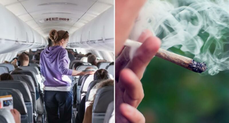 TSA updates medical marijuana travel guidance for air passengers