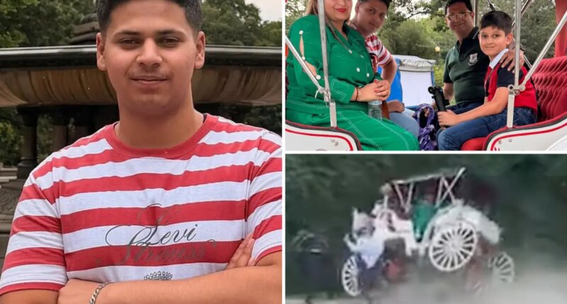 Teen killed in Central Park horse carriage crash was all smiles moments before death: video