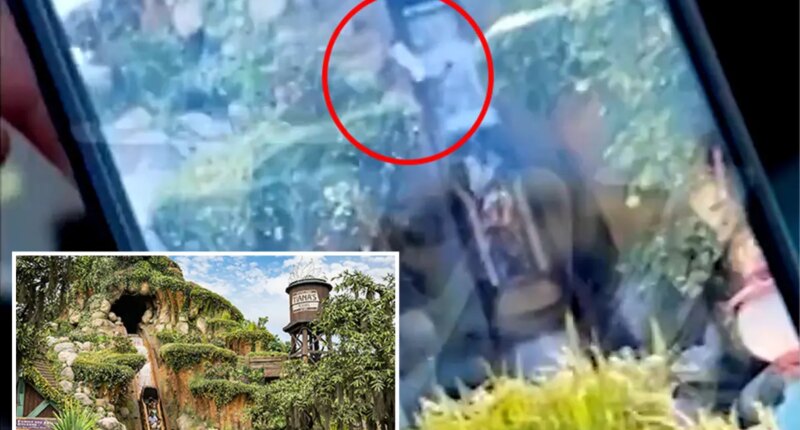Teen plunges over waterfall on Disneyland's Tiana's Bayou Adventure