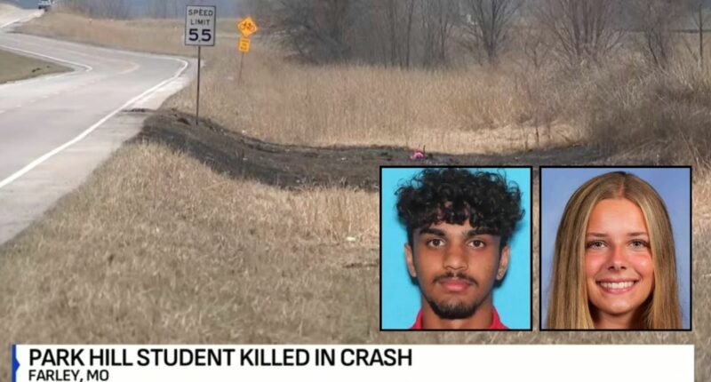 Teen says 'I drove and killed her' after fatal crash: Cops
