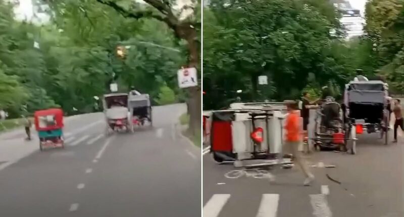 Teenager killed after carriage horse bolts from driver in Central Park