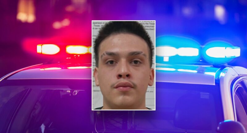 Texas teens accused of using dating apps to lure young men into violent robberies that left one victim shot