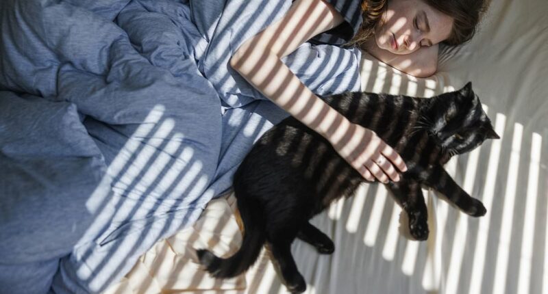 The truth about sleeping with your pet: Germ risks, claims of better sleep... and what experts REALLY think