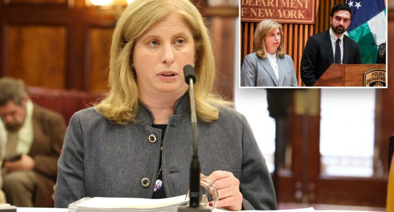 There have been no talks between the Office of Community Safety, NYPD: Tisch