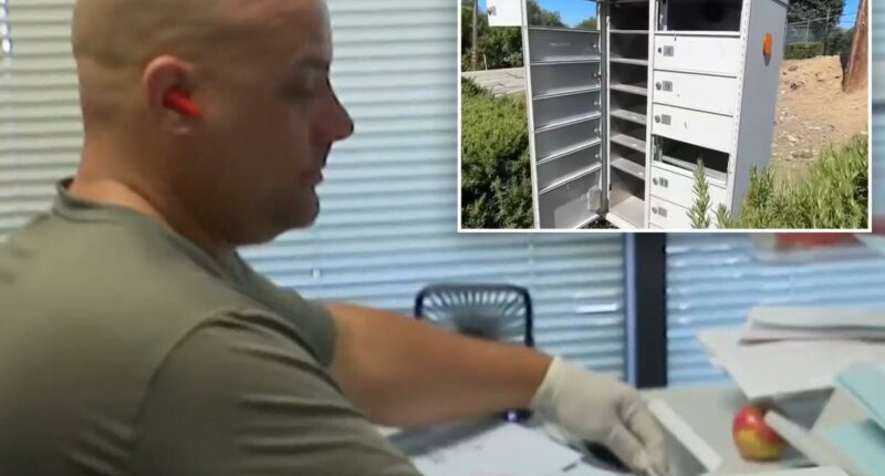Thieves swipe Bay Area mail-in ballots as questions swirl about vote count
