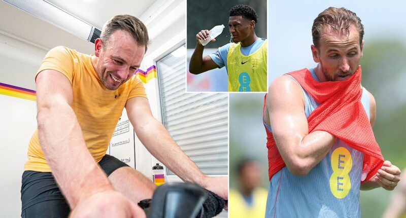 This is unbearable. I'm dizzy, disorientated, a kilogram lighter and my legs are like lead. How hard will it be playing in 'dangerous' 40°C heat at the World Cup? I found out the hard way - now I know why experts think players won't even last a half