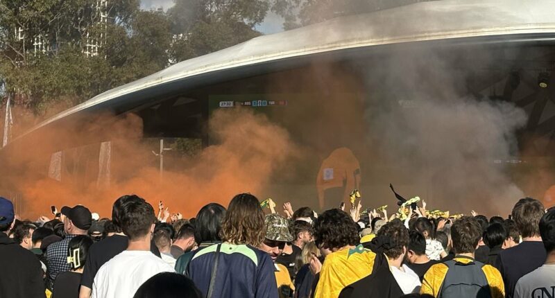 Thousands of fans lost their minds - and let off flares - watching the Socceroos' World Cup win over Turkey in Sydney's biggest live site... and the Daily Mail was there